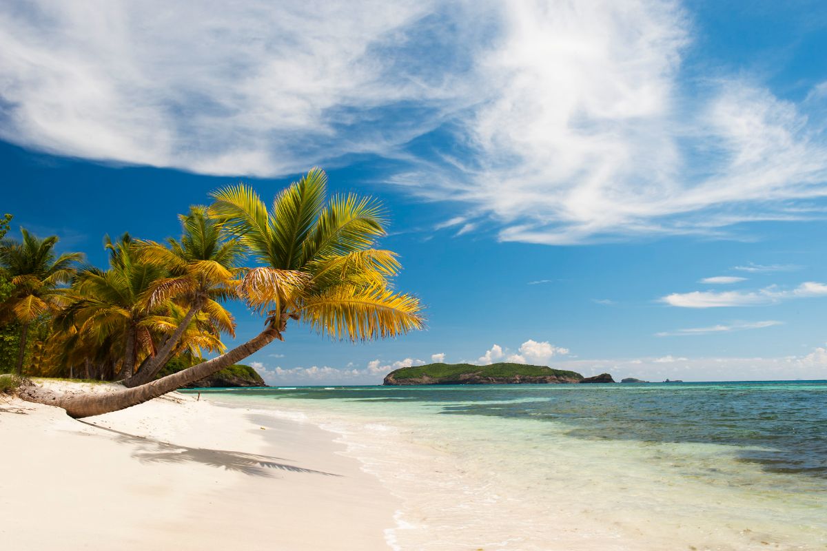 Simply Islands