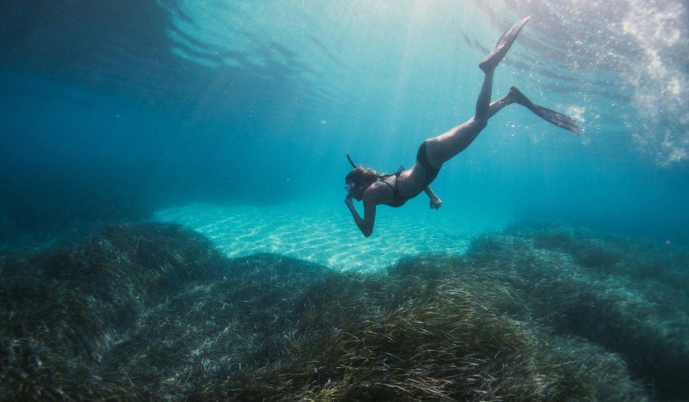 A great place for snorkelling on St. Bart's is Colombier Beach, known for its amazing marine life and tall sea grass. 