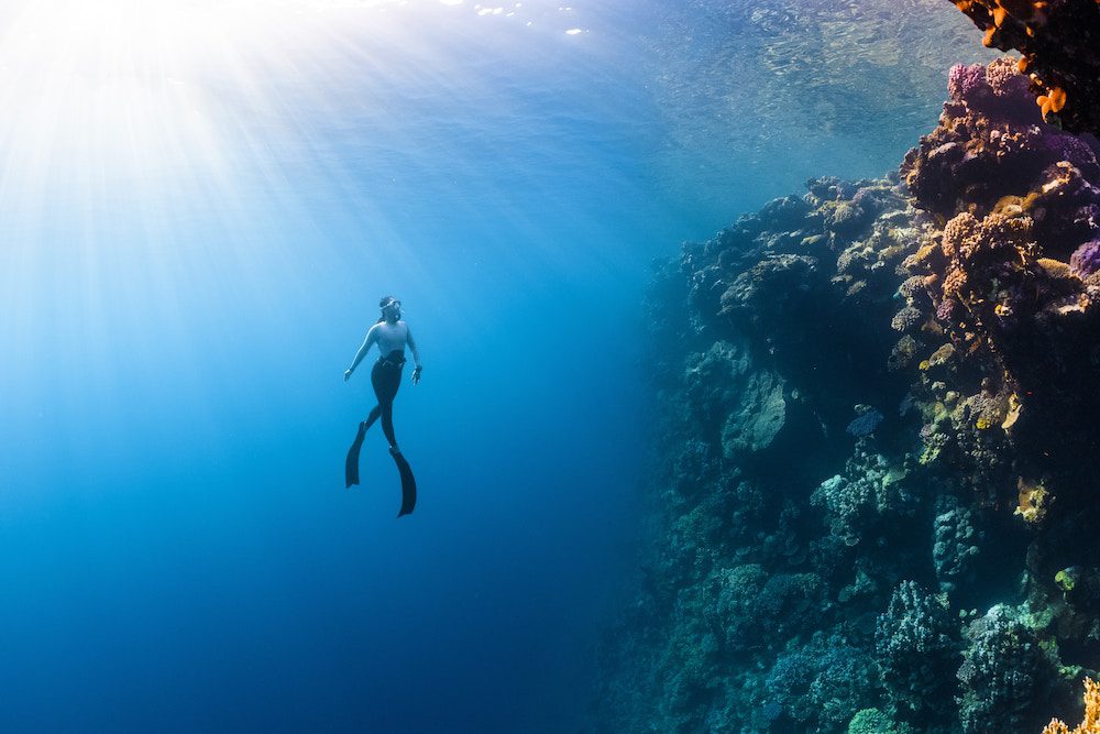 Another secret spot in the Caribbean for snorkelling is Devil's Table, known for its amazing marine life.