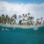 An image of a tropical island with blue waters and tall palm trees, picturing an amazing spot for snorkelling in the clear waters of the Caribbean.