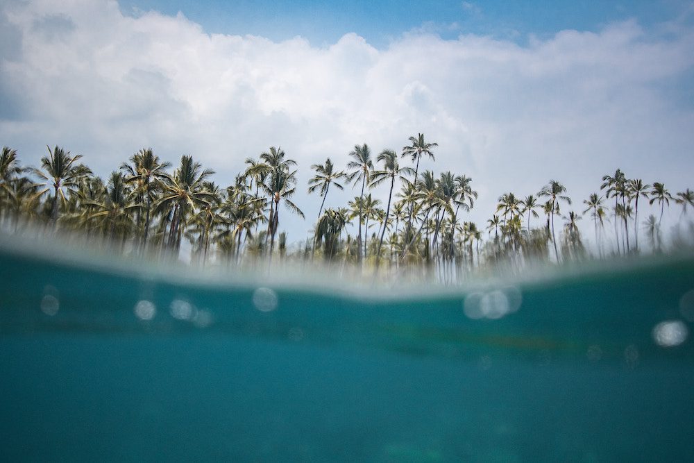 An image of a tropical island with blue waters and tall palm trees, picturing an amazing spot for snorkelling in the clear waters of the Caribbean.