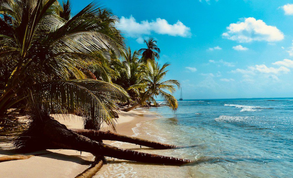 Another great place for snorkelling in the Caribbean is Gibbs Beach, a secluded beach with clear water and shade from palm trees, pictured here.