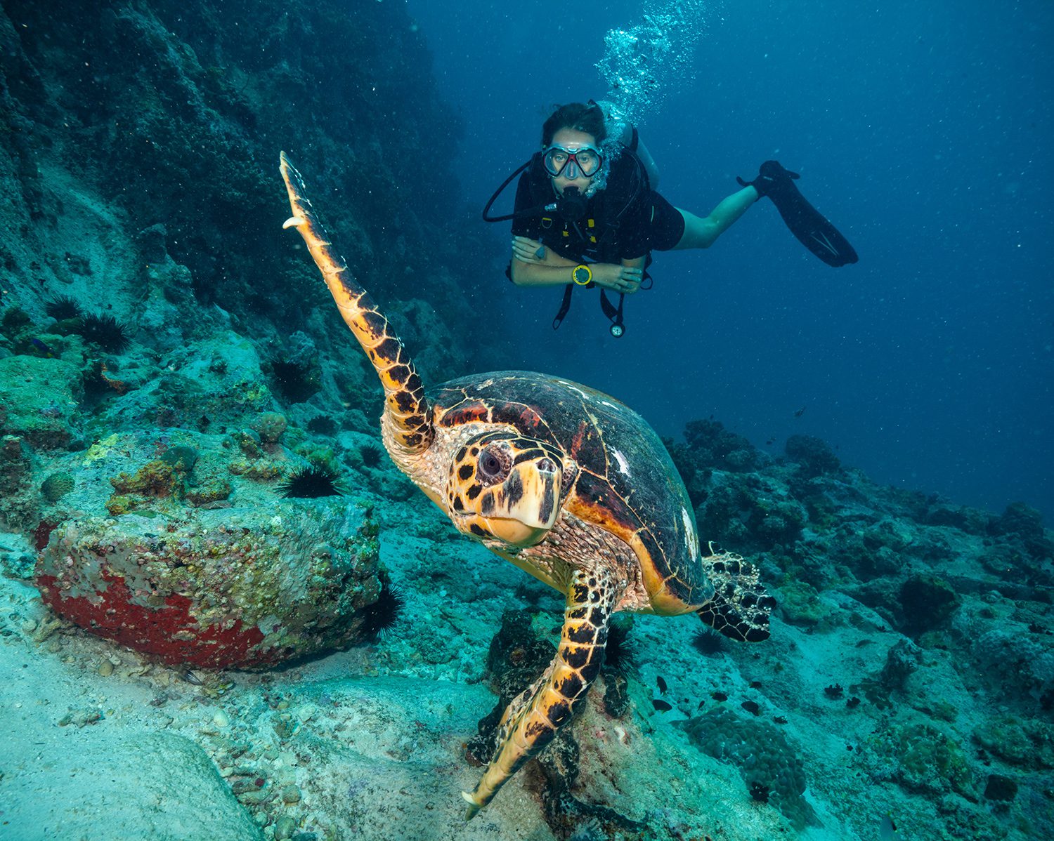 10 Can’t-Miss Things to Do in Barbados