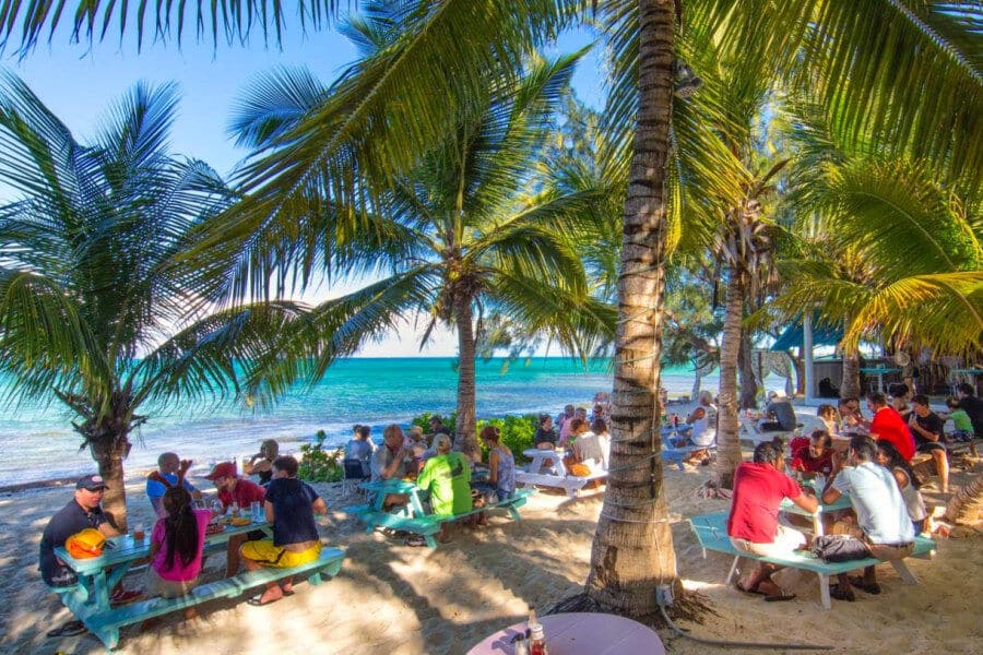 People sit at picnic tables under palm trees on a sandy beach, enjoying food and drinks from some of the best restaurants Turks and Caicos has to offer. The lively, sunny scene features groups chatting and relaxing by the clear blue sea.