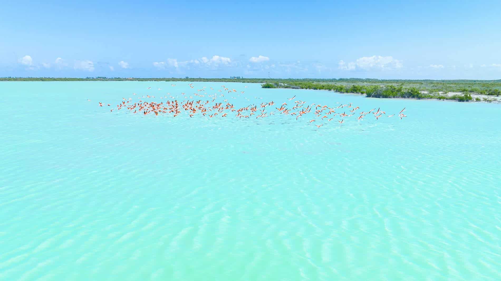 The Other Side of Turks and Caicos: Beyond Grace Bay