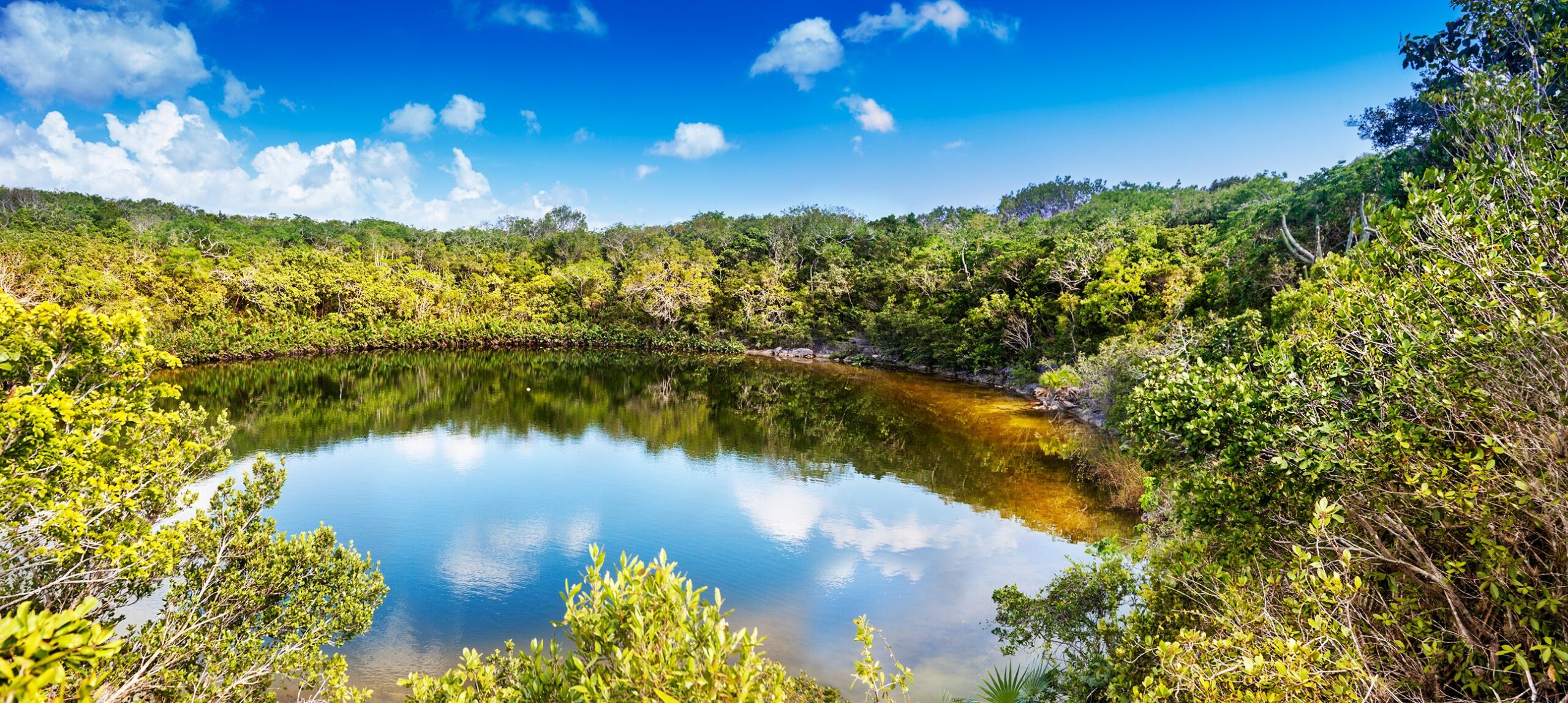 A round, clear pond surrounded by lush green trees reflects the blue sky and white clouds on a bright, sunny day, evoking the tranquil beauty found on the Turks and Caicos outer islands.